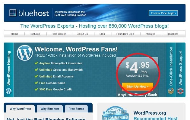 Bluehost - Main WordPress Screen