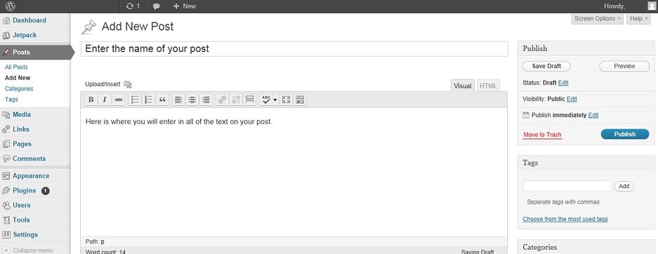 Wordpress - Posting  Your First Post