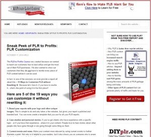 PLR to Profits - PLR Customization